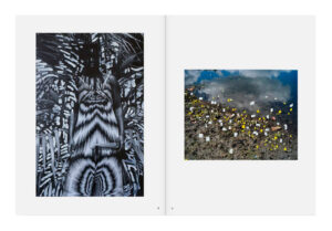 Viviane Sassen. Phosphor — изображение 4