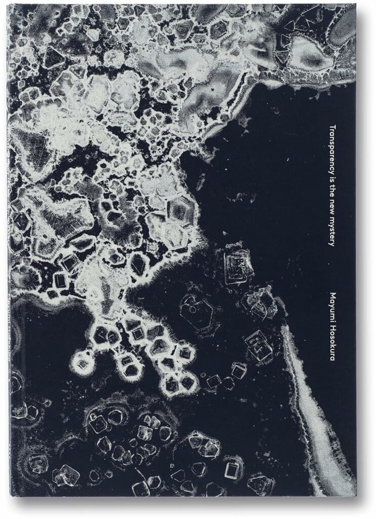Mayumi Hosokura. Transparency is the new mystery
