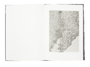 Mayumi Hosokura. Transparency is the new mystery — изображение 7