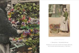 Atget: Postcards of a Lost Paris — изображение 4