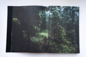 Элина Гусарова. ЭОС — изображение 6