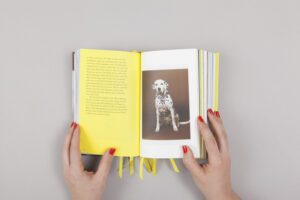 The Many Lives of Erik Kessels — изображение 4