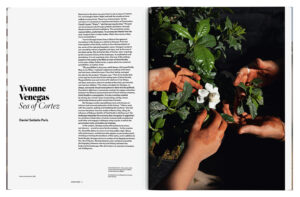 We Make Pictures in Order to Live: Aperture 250 — изображение 4