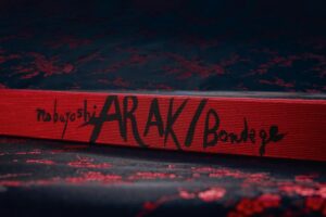 Araki. Bondage — изображение 2