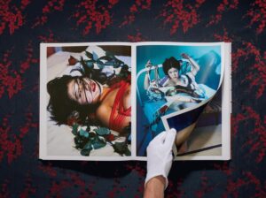 Araki. Bondage — изображение 5