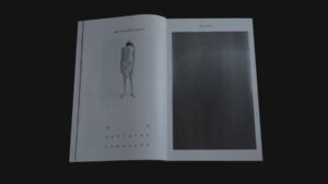 Алексей Громов / Unhonorable mention. The Birth:_forgotten