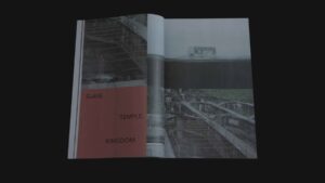 Алексей Громов / Unhonorable mention. The Birth:_forgotten — изображение 9
