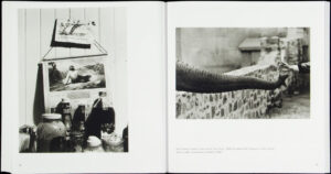 John Szarkowski. The Photographer's Eye — изображение 7