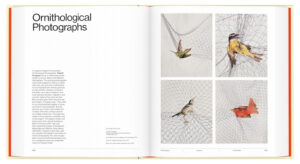 Marvin Heiferman. Seeing Science: How Photography Reveals the Universe — изображение 4