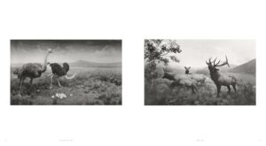 Hiroshi Sugimoto. Time Machine — изображение 2