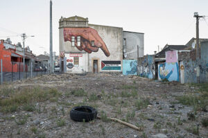 David Lurie. Undercity: The Other Cape Town — изображение 3
