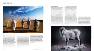 Michael Freeman. The Photographer's Vision: Understanding and Appreciating Great Photography — изображение 5