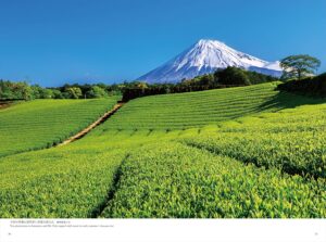 Mt. Fuji - Morita Toshitaka, Masahiro, Hiroki & Ryoya — изображение 4