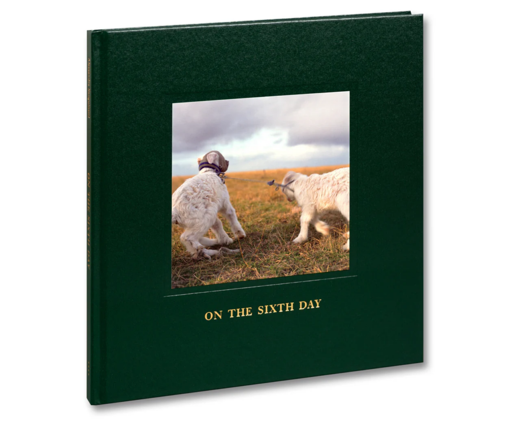 Alessandra Sanguinetti. On the Sixth Day