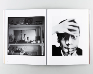 Avedon 100 — изображение 2