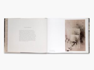 Deborah Turbeville. Photocollage — изображение 5