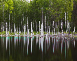 Федор Телков. Вода и металлы II. 60x75