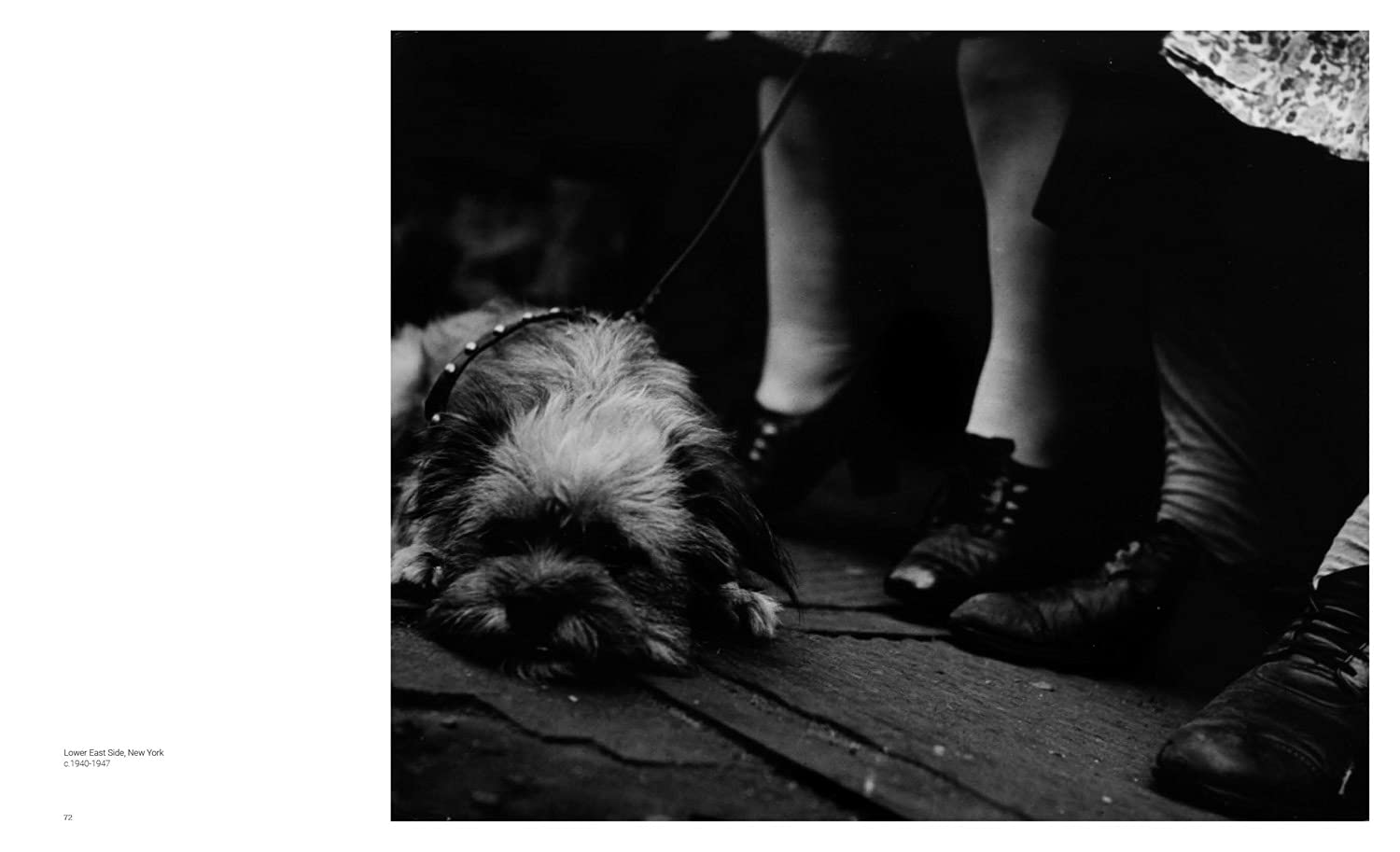 Lisette Model. Street Life — изображение 5