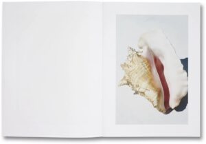 Roe Ethridge. Shelter Island — изображение 5
