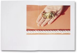 Roe Ethridge. Shelter Island — изображение 7