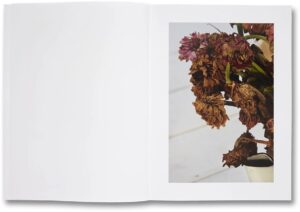 Roe Ethridge. Shelter Island — изображение 8