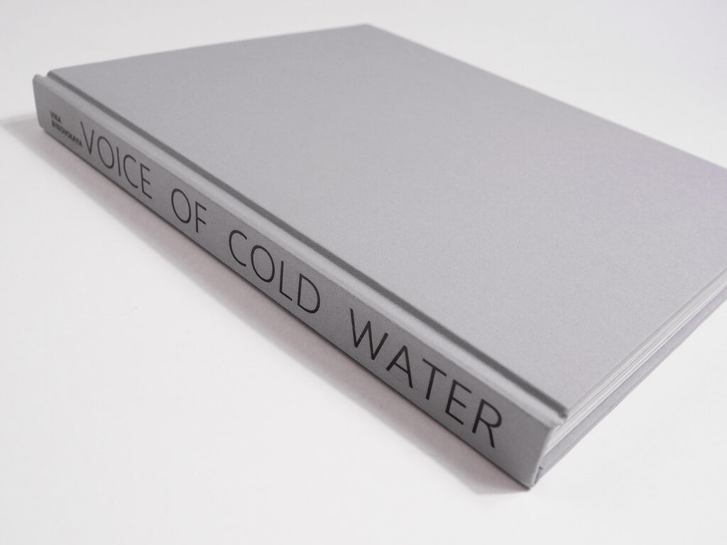 Вика Буковская. The voice of cold water