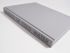 Вика Буковская. The voice of cold water