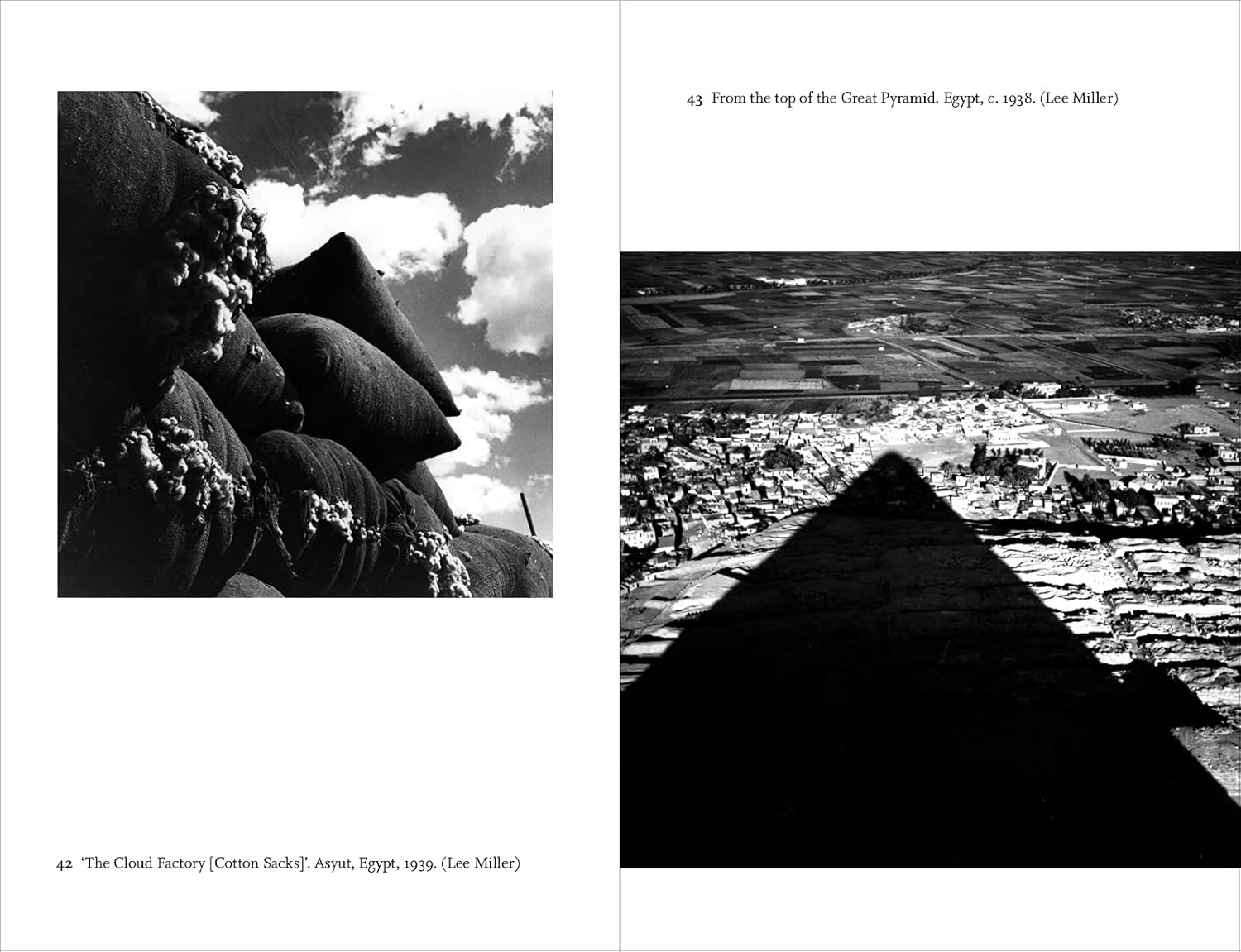 The Lives of Lee Miller — изображение 3