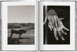 Peter Lindbergh. Untold Stories (mini) — изображение 6