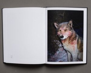 Илья Батраков. Морок — изображение 8