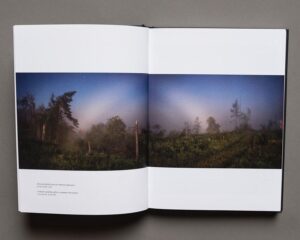 Илья Батраков. Морок — изображение 5