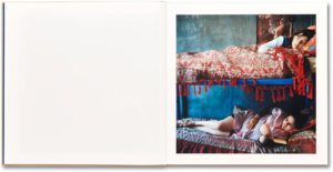 Alessandra Sanguinetti. The Adventures of Guille and Belinda and The Illusion of an Everlasting Summer — изображение 4