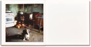 Alessandra Sanguinetti. The Adventures of Guille and Belinda and The Illusion of an Everlasting Summer — изображение 5