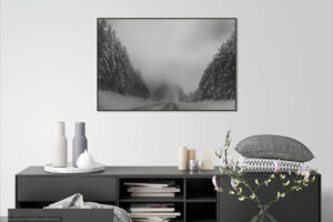 Федор Телков. Дорога в Коми-Пермяцком округе. 53x80 — изображение 2