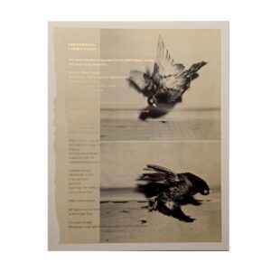 Carmen Winant. Arrangements