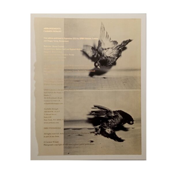 Carmen Winant. Arrangements