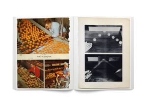Carmen Winant. Arrangements — изображение 3