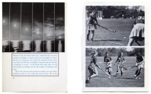 Carmen Winant. Arrangements — изображение 4
