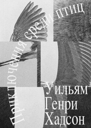 Уильям Генри Хадсон. Приключения среди птиц