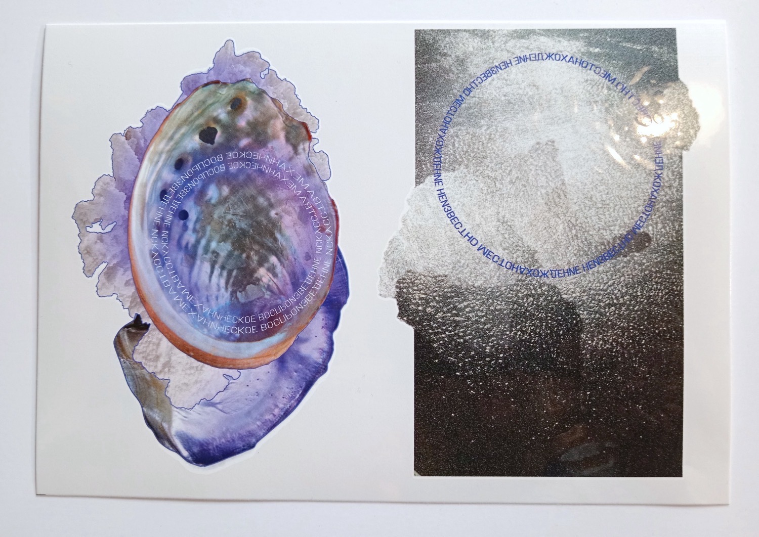 Носимые изображения I. Collab Ирина Иванникова х FotoDepartament