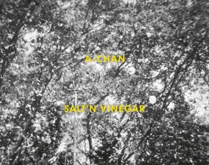 A-Chan. Salt'n Vinegar