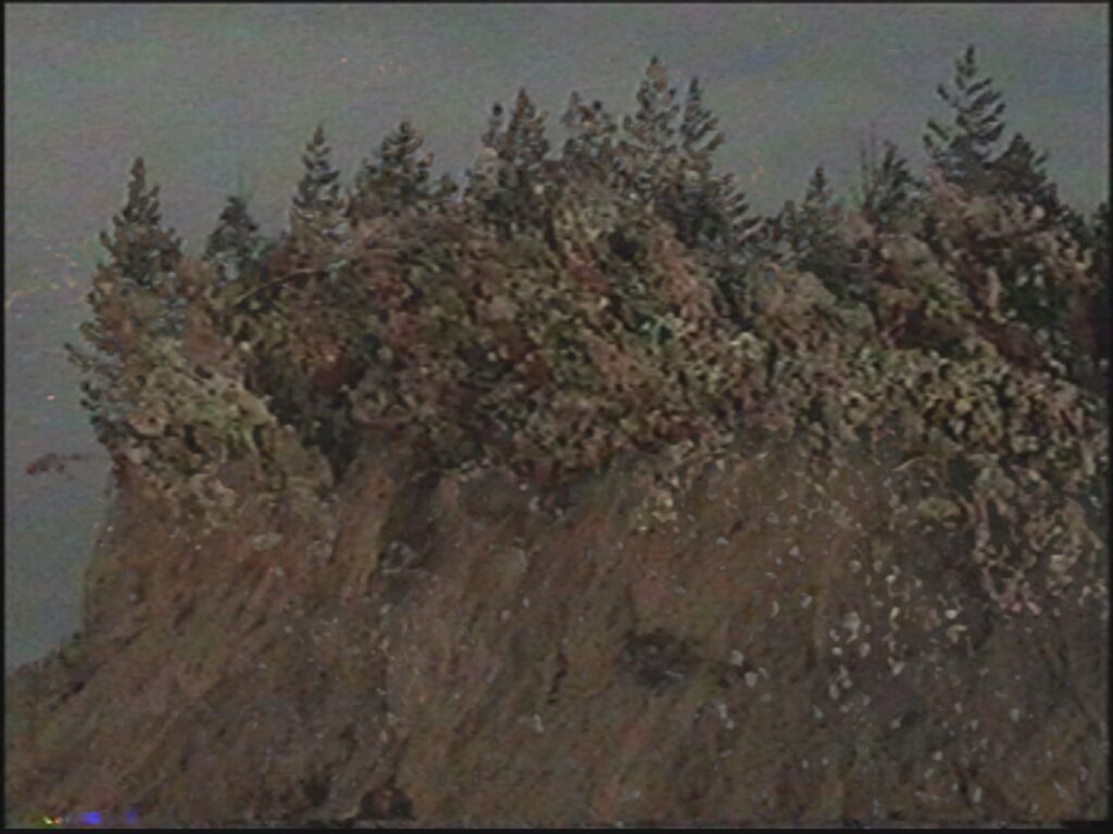 Денис Шулепов. Практика ностальгии V. 22,5×30