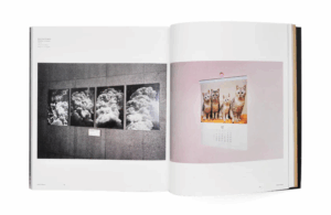 Paul Graham (Phaidon Contemporary Artist Series) — изображение 4