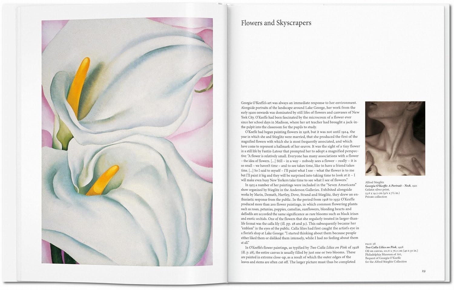 O'Keeffe — изображение 4