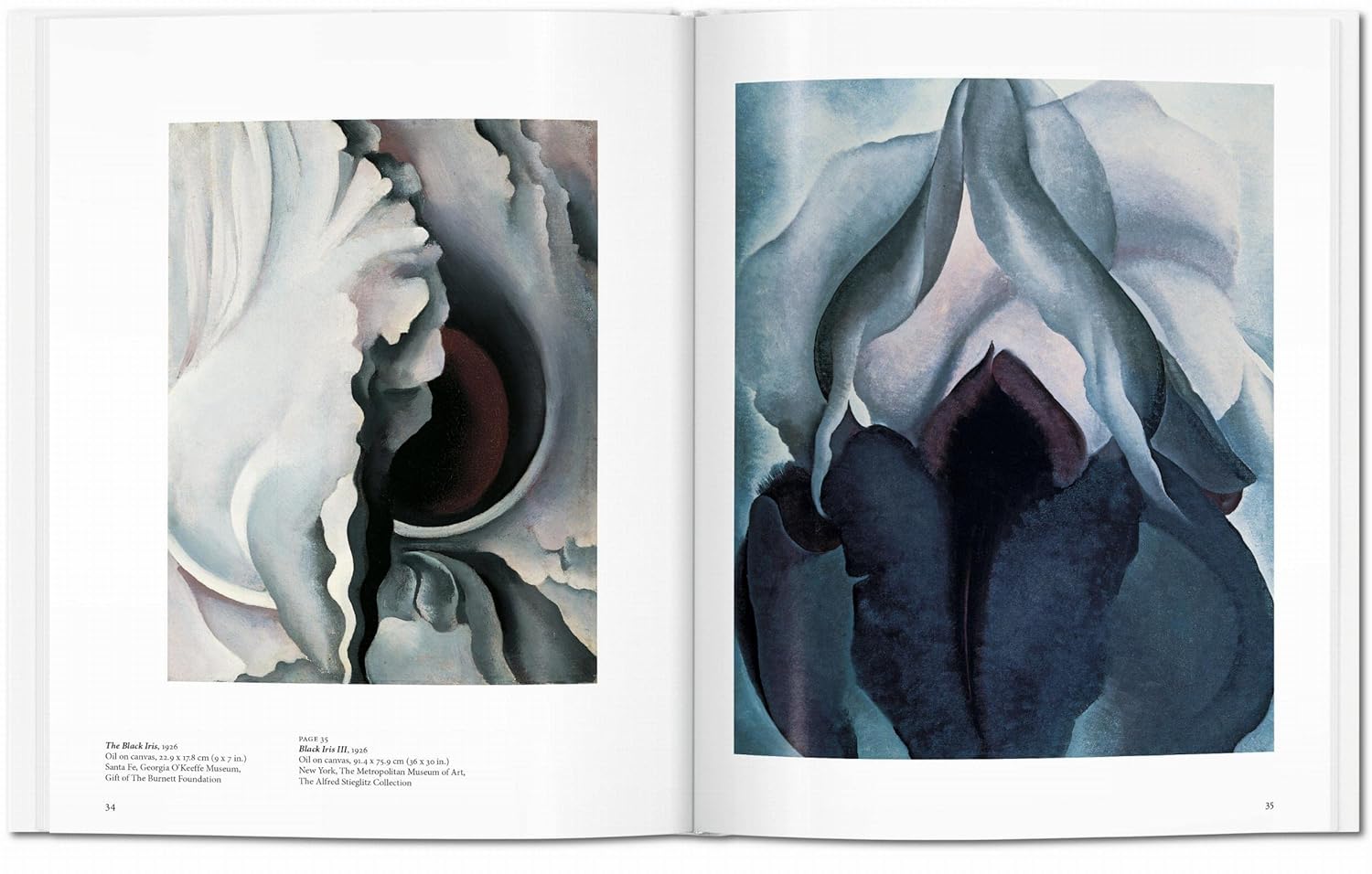 O'Keeffe — изображение 6