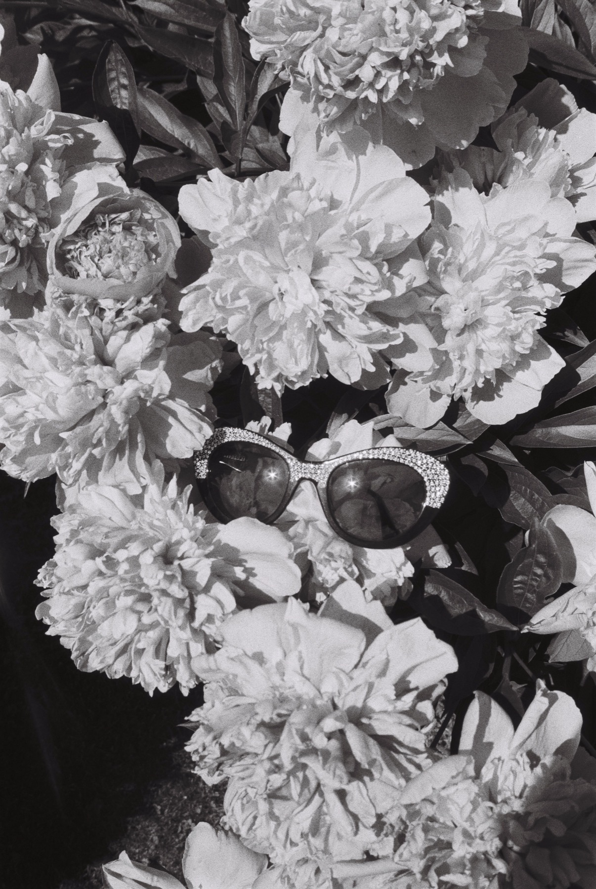 Жанна Татарова
На память V. 30х45