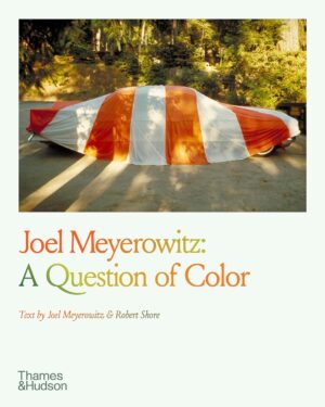 Joel Meyerowitz. A Question of Colour
