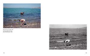 Joel Meyerowitz. A Question of Colour