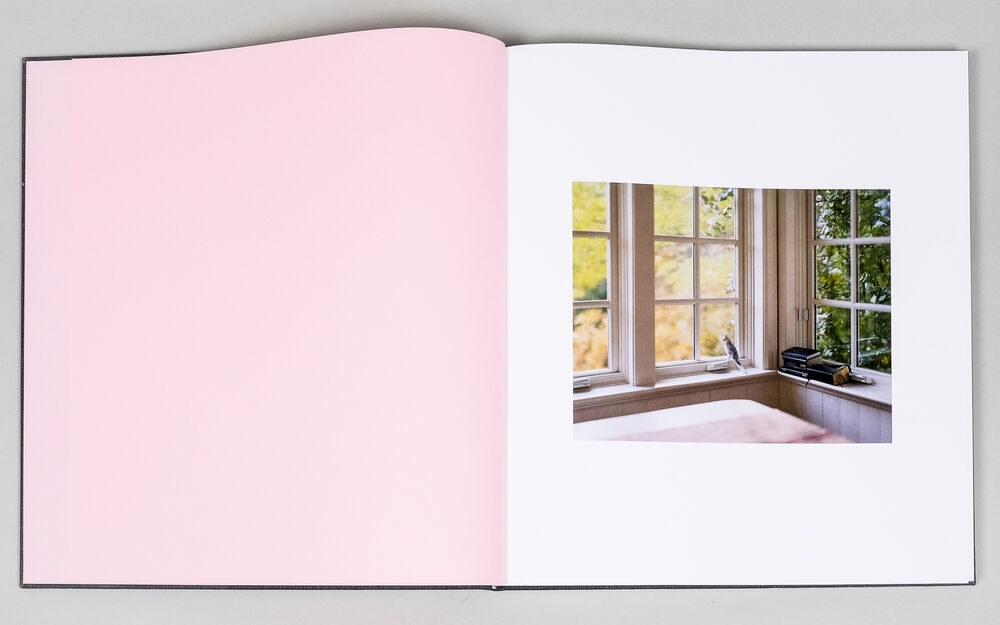 Alec Soth. I Know How Furiously Your Heart Is Beating — изображение 2