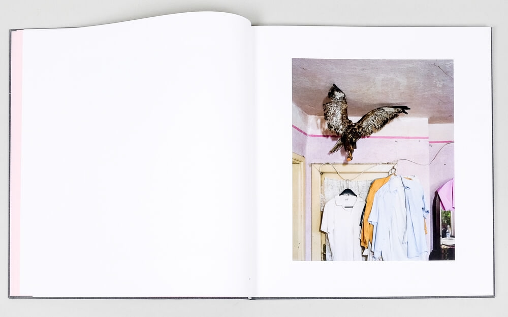 Alec Soth. I Know How Furiously Your Heart Is Beating — изображение 5